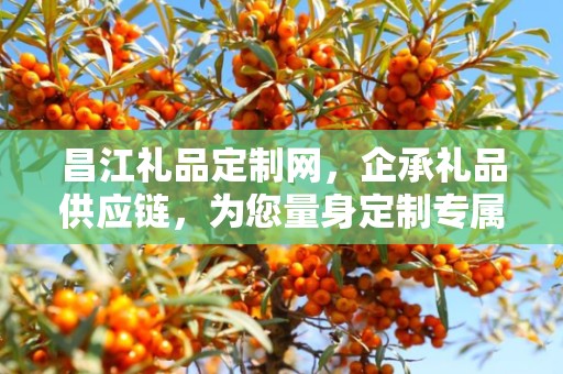 昌江礼品定制网，企承礼品供应链，为您量身定制专属礼品